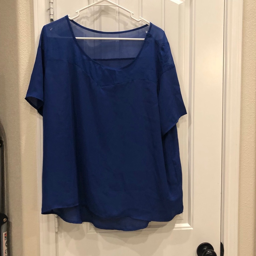 Sheer Blue Top